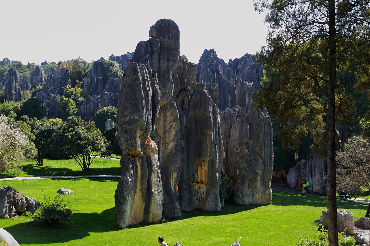 Stone Forest